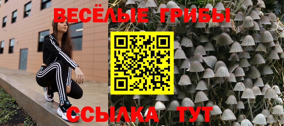 Луховицы  цены   Вход с VPN  Псилоцибиновые грибы Psilocybine cubensis 
