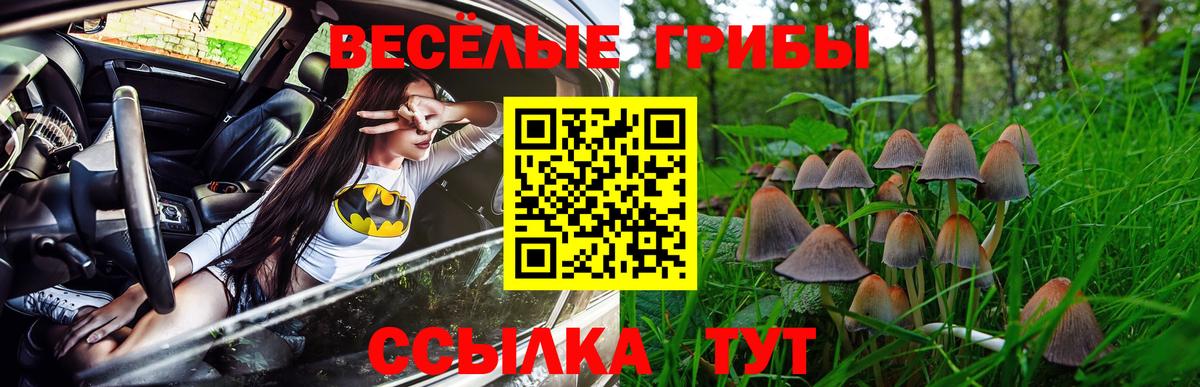 Псилоцибиновые грибы Cubensis Луховицы